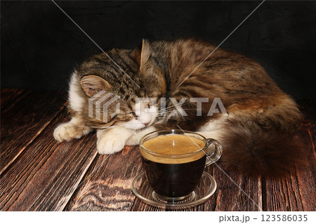 Coffee latte and a sleeping cat on a dark wooden table. The warmth of our house is surrounded by a happy pet. Coffee and a cat will warm us on cold autumn evenings. Coffee latte and a sleeping cat on a dark wooden table. The warmth of our house is surrounded by a happy pet. Coffee and a cat will warm us on cold autumn evenings. 123586035