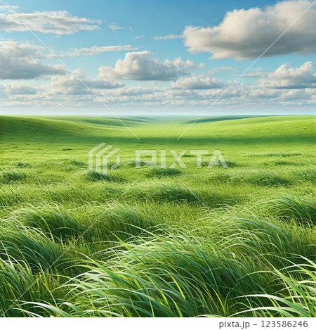 晴れた草原の風景 晴れた草原の風景 123586246