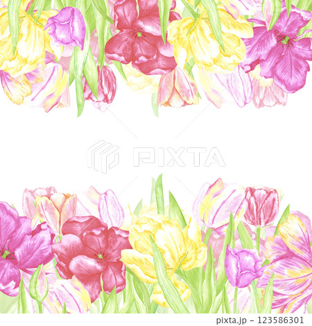Hand drawn watercolor colorful tulips with green leaves frame border. Illustration of flowers isolated on white background. Can be used for postcard, invitation, scrapbook and other printed products. 123586301