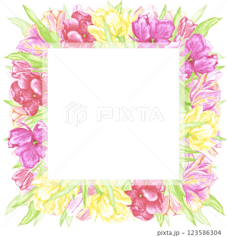 Hand drawn watercolor colorful tulips with green leaves frame border. Illustration of flowers isolated on white background. Can be used for postcard, invitation, scrapbook and other printed products. Hand drawn watercolor colorful tulips with green leaves frame border. Illustration of flowers isolated on white background. Can be used for postcard, invitation, scrapbook and other printed products. 123586304