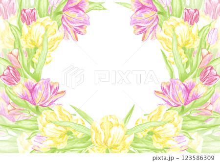 Hand drawn watercolor tulips with green leaves wreath frame border. Illustration of flowers isolated on white background. Can be used for postcard, invitation, album and other printed products. Hand drawn watercolor tulips with green leaves wreath frame border. Illustration of flowers isolated on white background. Can be used for postcard, invitation, album and other printed products. 123586309