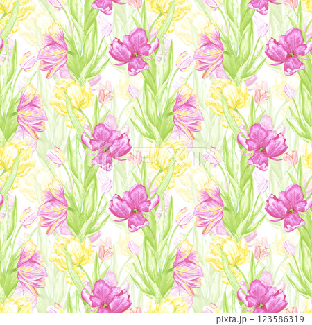 Hand drawn watercolor pink and yellow tulips with green leaves seamless pattern. Illustration isolated on white background. Can be used for textile, fabric, wrapping and other printed products. 123586319