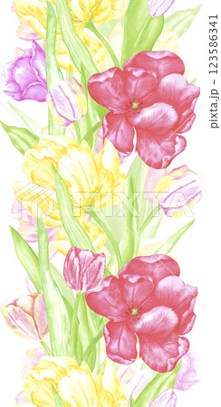 Hand drawn watercolor colorful tulips vertical seamless border. Illustration of spring flowers isolated on white background. Can be used for textile, fabric, wrapping and other printed products. 123586341