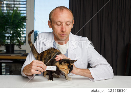 Portrait of veterinarian with cute cat pet and rapid test in his hand indoor 123586504