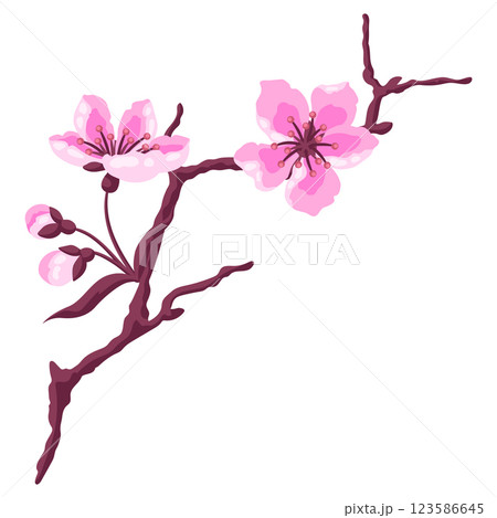 Illustration of branch with flower. Apple, sakura or cherry blossom. 123586645