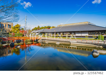 掛川市にある掛川城周辺の掛川市立中央図書館とハス池の風景(静岡県) 123587462