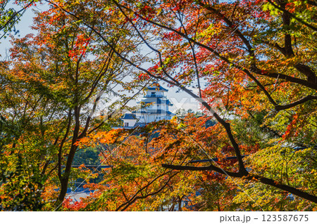 掛川市にある紅葉した龍華院から見た掛川城の風景(静岡県) 123587675
