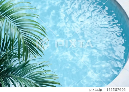 Pool with blue water top view with palm branch on foreground. Pool with blue water top view with palm branch on foreground. 123587693