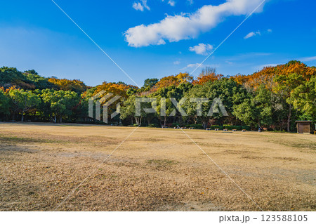 浜松市にある秋の浜松城公園の紅葉した木々と青空の風景(静岡県) 123588105