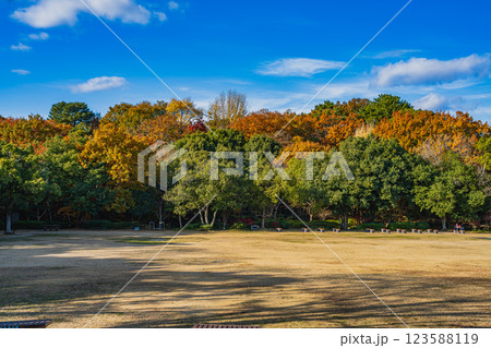 浜松市にある秋の浜松城公園の紅葉した木々と青空の風景(静岡県) 123588119