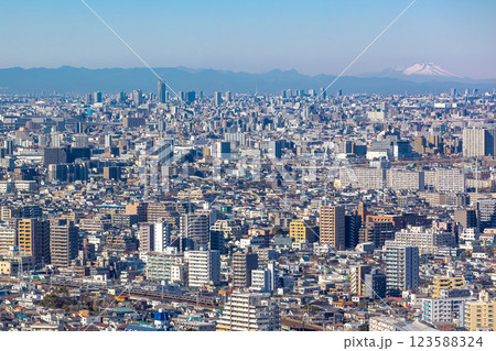 浅間山を遠くに望む総武快速線E217系 浅間山を遠くに望む総武快速線E217系 123588324