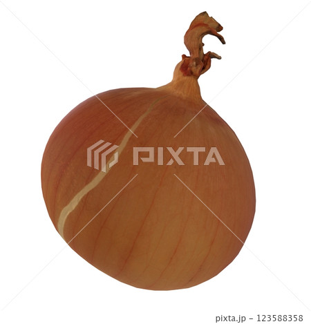 3D rendering of a whole yellow onion with realistic details 3D rendering of a whole yellow onion with realistic details 123588358