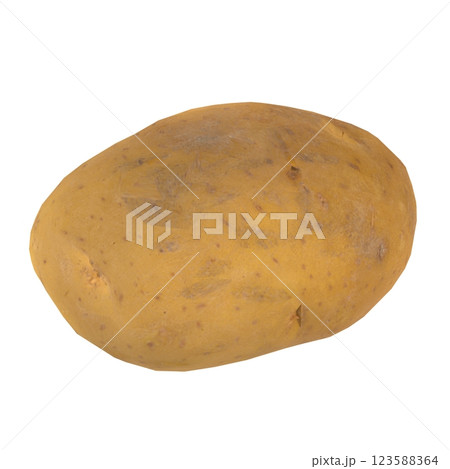Realistic 3D rendering of a potato on a plain background Realistic 3D rendering of a potato on a plain background 123588364
