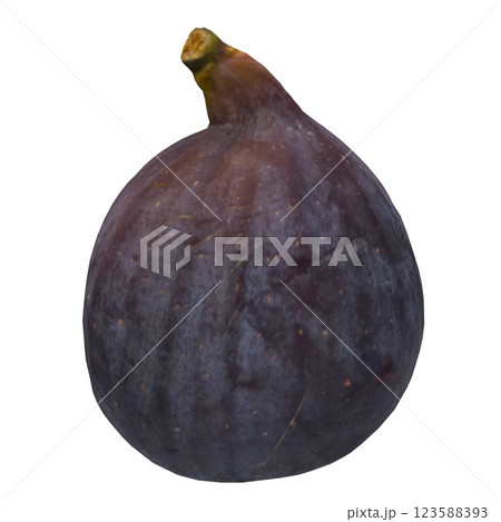 Fresh fig resting on a neutral background ready for use Fresh fig resting on a neutral background ready for use 123588393