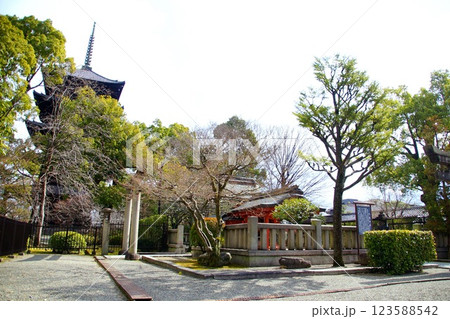京都府　東寺・八島神社 八島社殿　京都市 南区 九条町　2022年2月 123588542
