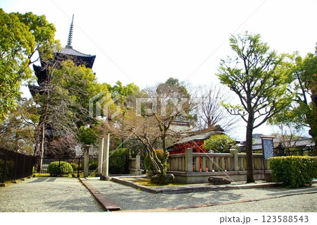 京都府　東寺・八島神社 八島社殿　京都市 南区 九条町　2022年2月 123588543
