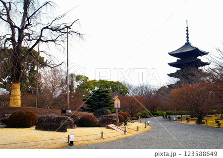 京都府 東寺・庭園 五重塔 京都市 南区 九条町 2022年2月 京都府 東寺・庭園 五重塔 京都市 南区 九条町 2022年2月 123588649