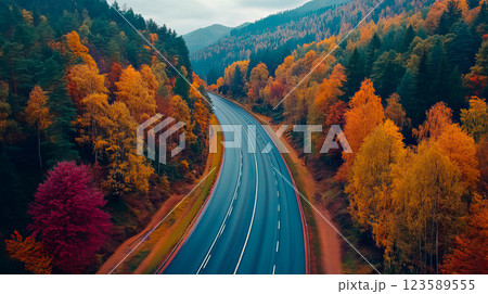 Autumn road landscape in beautiful nature Autumn road landscape in beautiful nature 123589555