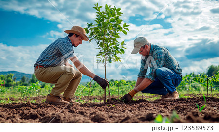 Two workers planting a tree. Concept environmental protection Two workers planting a tree. Concept environmental protection 123589573