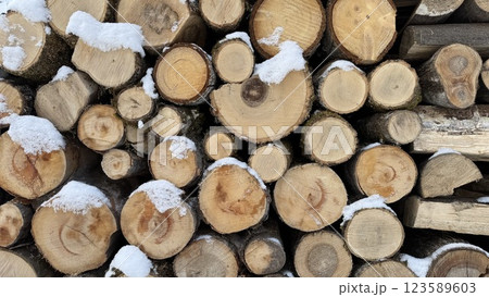 Snow-Dusted Stacked Firewood Logs in a Winter Outdoor Setting Snow-Dusted Stacked Firewood Logs in a Winter Outdoor Setting 123589603