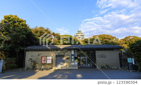 江ノ島の春 123590304