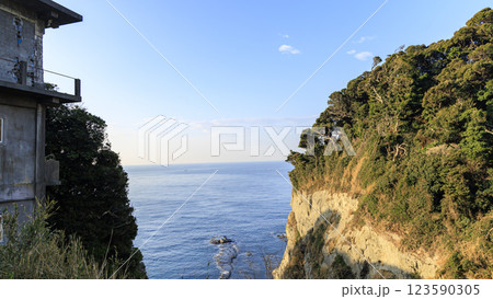 江ノ島の春 123590305