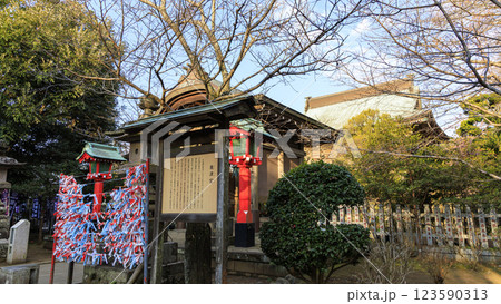 江ノ島の春 江ノ島の春 123590313