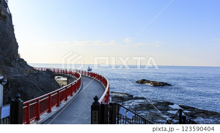 江ノ島から見た海岸 123590404