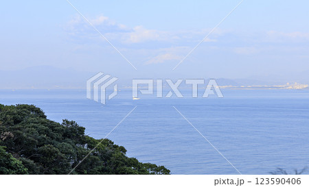 江ノ島から見た海岸 江ノ島から見た海岸 123590406