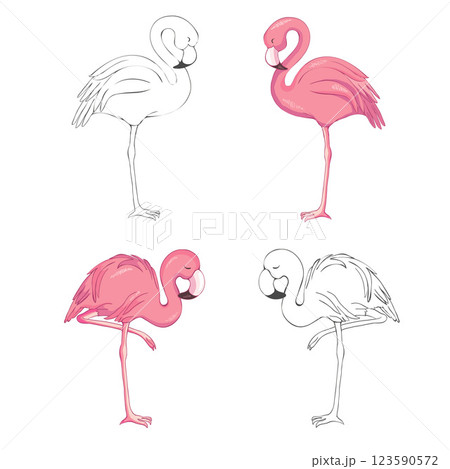 Sketched flamingos vector 123590572