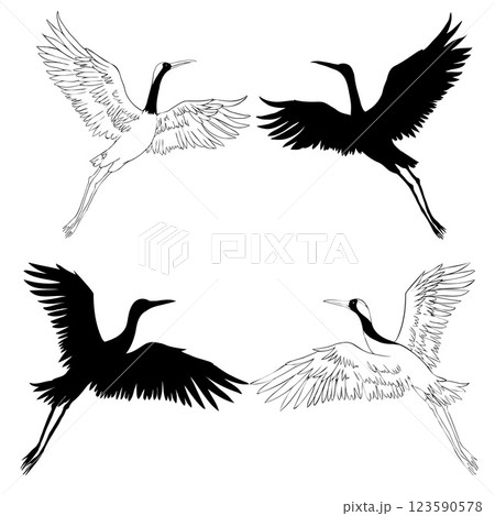 Wild birds in flight. Animals in nature or in the sky. Cranes or Grus and stork or shadoof and Ciconia with wings. engraved sketch hand drawn in vintage style. 123590578