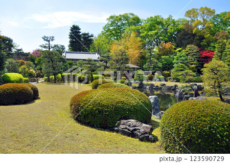 京都市　世界遺産　二条城 日本庭園　清流園　和楽庵 123590729