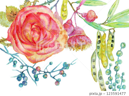 手書きの美しい花と植物の水彩画イラスト 手書きの美しい花と植物の水彩画イラスト 123591477