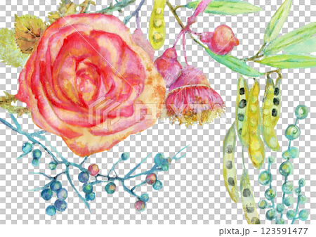 手書きの美しい花と植物の水彩画イラスト 手書きの美しい花と植物の水彩画イラスト 123591477