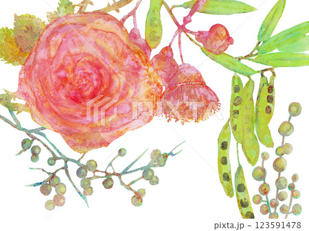 手書きの美しい花と植物の水彩画イラスト 123591478