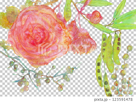 Beautiful hand-drawn watercolor illustrations of flowers and plants Beautiful hand-drawn watercolor illustrations of flowers and plants 123591478
