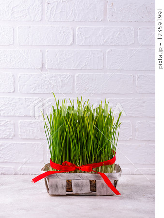 Traditional Azerbaijan spring holiday Novruz concept Traditional Azerbaijan spring holiday Novruz concept 123591991