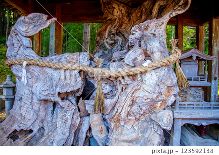 仙台市　定義　極楽山西方寺　天王塚 123592138