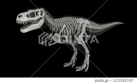 Skeletal system of Tyrannosaurus rex, side view. 123592197