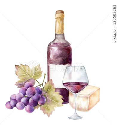 watercolor illustration wine bottle glass and grapes on white background,piece of cheese, composition,restaurant illustration for menu, drinks, adult drinks, red wine,violet wine,bunch of grapes 123592263