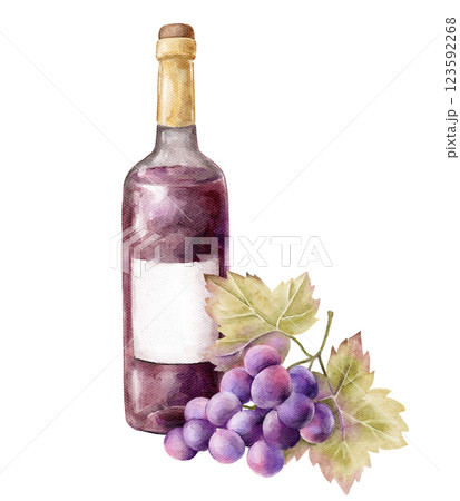 watercolor illustration wine bottle glass and grapes on white background, table for two,date food and drinks, two bottles of wine, two glasses, violet wine, isolated on white, empty template, cheese 123592268