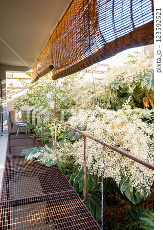 Blooming White Flowers in a Lush Garden 123592521
