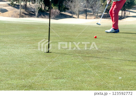 ゴルフにおけるグルーン上でのパターのイメージ【冬季】 123592772
