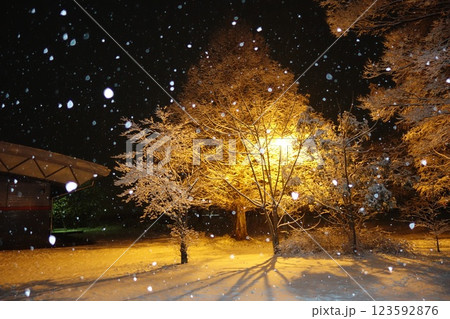 すぱーく岡部の雪景色 123592876