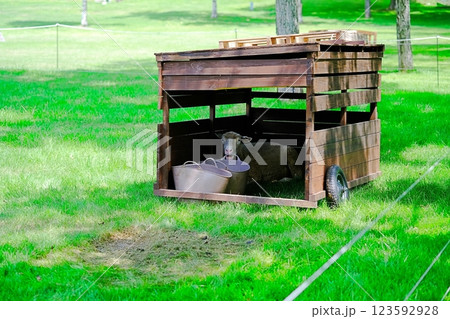 暑くて小屋に隠れるヒツジ 暑くて小屋に隠れるヒツジ 123592928
