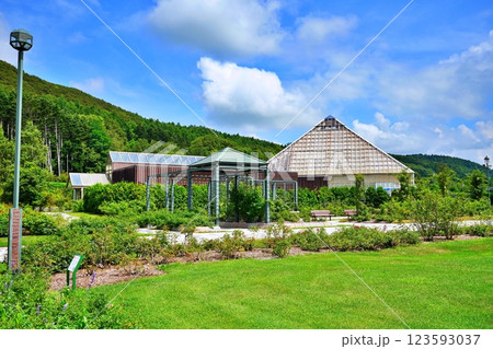 いわみざわ公園 バラ園の景観 いわみざわ公園 バラ園の景観 123593037