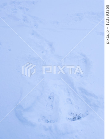 Snow angel Child imprint in fresh snow Snow angel Child imprint in fresh snow 123593268
