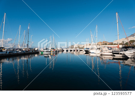 Tranquil harbor with sailboats on clear day 123593577