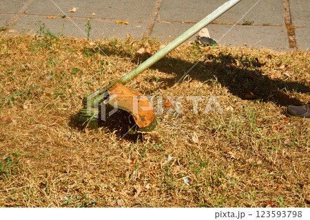Professional grass cutting on lawns with a mini handle lawn mower Professional grass cutting on lawns with a mini handle lawn mower 123593798