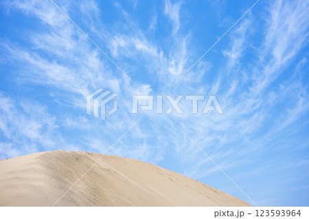鳥取砂丘と夏空 123593964